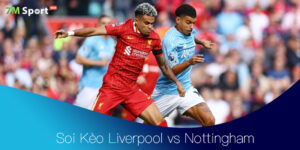 Soi Kèo Liverpool vs Nottingham 22h00 22/11 – Vòng 12 Ngoại Hạng Anh