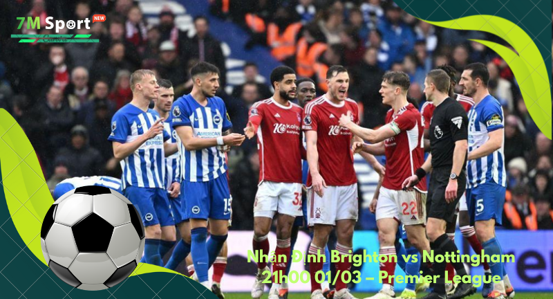 Đội hình dự kiến trước trận Brighton vs Nottingham Đội hình dự kiến trước trận Brighton vs Nottingham